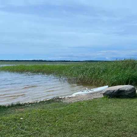 Campsite Tohela Jarve Puhkekula Mannikuste